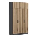 Dulap pentru haine, Minerva, Minar 3 Kapak 2 Çekmece 255, 135x255x52 cm, PAL, Dore / Antracit
