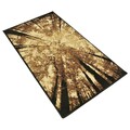 Covor Sirius, Decorino, 60x110 cm, polipropilena, maro