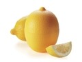 Recipient cu agatatoare pentru depozitat lamaie taiata in frigider, Lemon, Excelsa, 8x8 cm