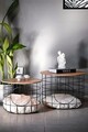 Masuta de cafea, Puqa Design, Cat, 54x54x41 cm, PAL, Pin Atlantic / Negru