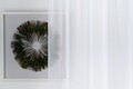 Perdea Imagine, Voal simplu, 140x245 cm, poliester, alb