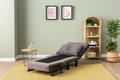 Canapea extensibilă cu 1 loc, Futon, 859FTN2343, Metal , Gri