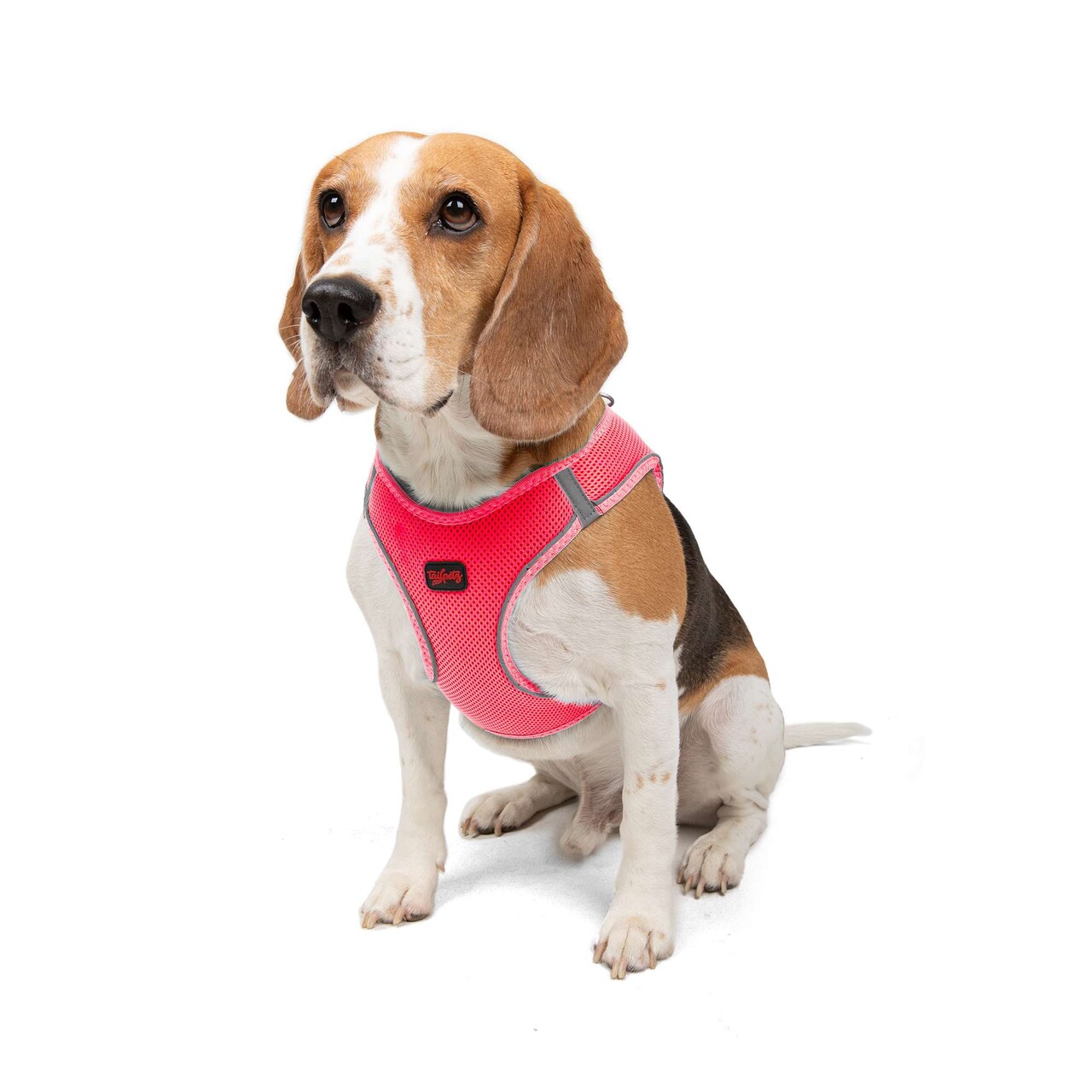 Ham pentru câini, Paws &amp; Whiskers, Air-Mesh, Poliester, Roz neo - view 2