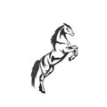 Decoratiune de perete, Wild Horse, Metal, Dimensiune: 50 x 20 cm, Negru