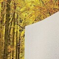 Covor, Eexfab859, 100x200 cm, Multicolor