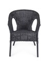 Scaun pentru gradina Alliss, Bizzotto, 58x61x74 cm, ratan/rachita, negru