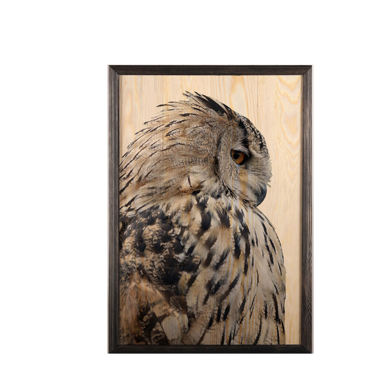 Tablou decorativ, Owl XL, Lemn, Lemn, Multicolor - 1 | YEO