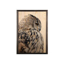 Tablou decorativ, Owl XL, Lemn, Lemn, Multicolor