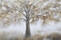 Tablou decorativ Tree Dark - B, Mauro Ferretti, 70x140 cm, pictat manual, canvas/lemn de pin