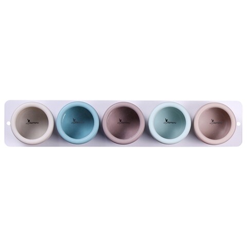 Set condimente 5 recipiente si suport, Luigi Ferrero Norsk FR-1655, magnetic, plastic/metal