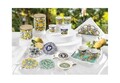 Recipient cu capac ermetic, Citrus, Brandani, D10x10 cm, 500 g, portelan New Bone China