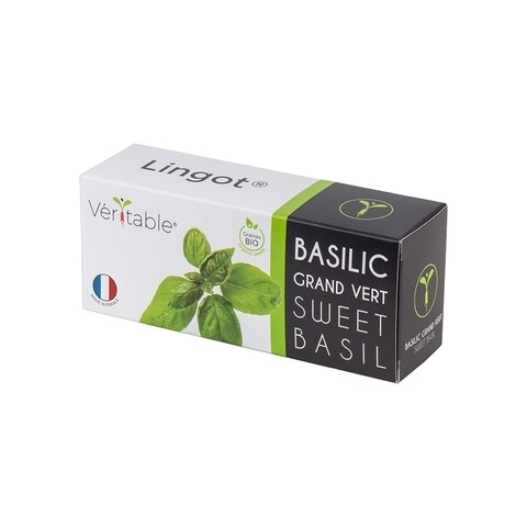 Pachet cu seminte Lingot busuioc dulce, Veritable