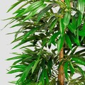 Planta artificiala mango Ailia, Homla, 180 cm, plastic, verde