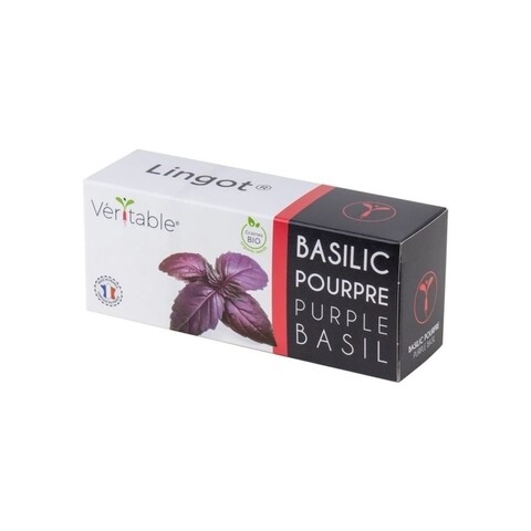 Pachet cu seminte Lingot busuioc mov, Veritable