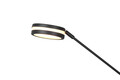 Lampadar Franklin, TRIO, 35.2x181 cm, 35W, 6.5W, 1x SMD, metal, antracit