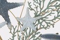 Decoratiune de perete Sea Star, Mauro Ferretti, 95.3 x 50.2 cm, fier, multicolor