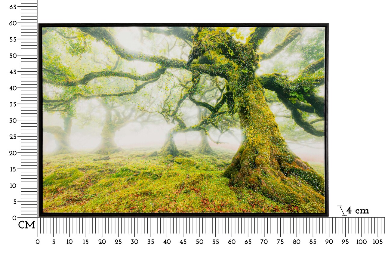 Tablou decorativ Forest, Mauro Ferretti, 60x90 cm, canvas/lemn de pin/plastic, multicolor - 1 | YEO