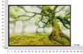 Tablou decorativ Forest, Mauro Ferretti, 60x90 cm, canvas/lemn de pin/plastic, multicolor