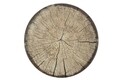 Serviciu de masa, 24 piese, Kutahya Porselen, NNTS24Y2894010, nano portelan, verde/negru