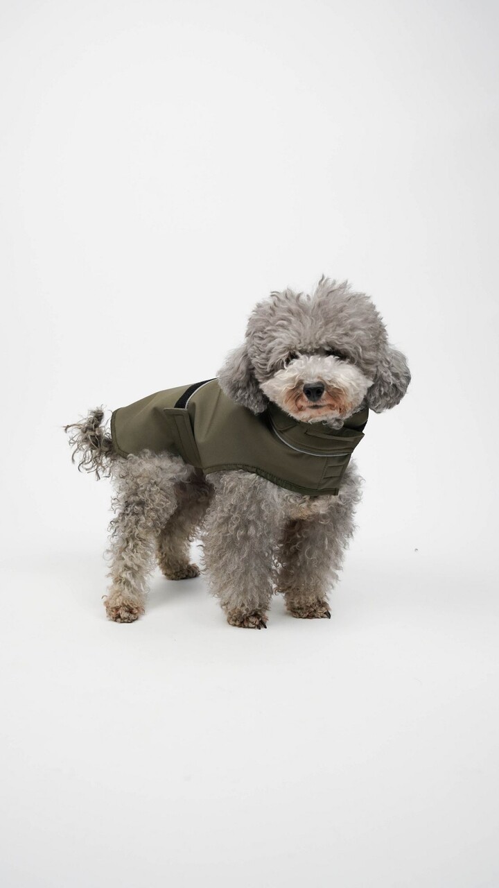 Hanorac pentru câini, Paws &amp; Whiskers, Shoft Shell Raincoat, Kaki - view 3
