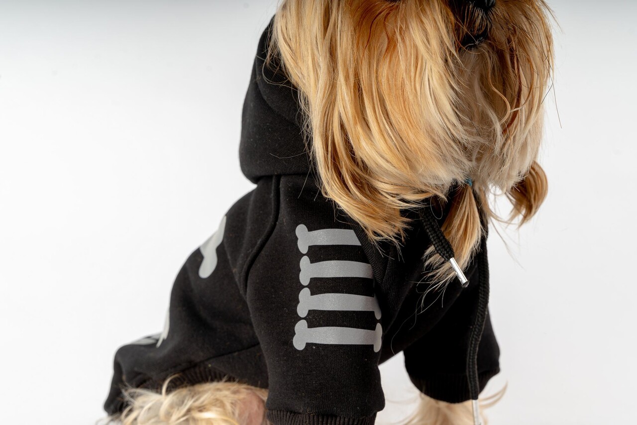 Hanorac pentru câini, Paws &amp; Whiskers, Danger Hoodie, Negru - view 4