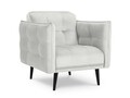 Fotoliu, Canna, Mazzini Sofas, 90x100x88 cm, catifea, argintiu