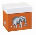 Cana in cutie cadou, Amazilia Savanna Amber, Churchill, portelan Fine Bone China, 390 ml