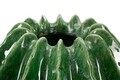 Vaza decorativa Cactus Ball, Mauro Ferretti, 23.5x24.5 cm, ceramica, verde
