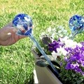 Set 2 picuratoare glob pentru udat plante InnovaGoods Aqua·Loon, 350 ml, sticla