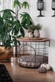 Masuta de cafea, Puqa Design, Cat, 54x54x41 cm, PAL, Pin Atlantic / Negru