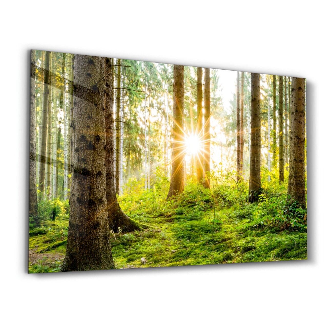 Tablou decorativ, OGLS-1084, Dimensiuni: 46 x 72 cm, Multicolor - view 5