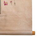 Decoratiune de perete Ophioxylum, Creaciones Meng, 44x73 cm, canvas/lemn de brad chinezesc