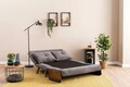 Canapea extensibilă cu 2 locuri, Futon, 859FTN2718, Metal , Gri