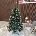 Brad artificial Christmas Deluxe by Sersimo, Crystal nins cu merisoare, 2D, 150cm