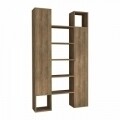 Biblioteca Homitis, Twins - Dark Oak