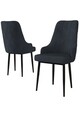 Set scaune 2 piese, Charlotte, Trex, Antracit / Negru