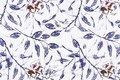 Lenjerie de pat dubla king size, Beverly Hills Polo Club, BHPC 005 - Blue, 3 piese, bumbac ranforce, multicolor