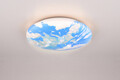 Plafoniera Terra, RL, 37x8.5 cm, 15W, 1x SMD, plastic, multicolor