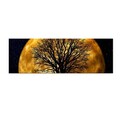 Tablou decorativ cu lumina LED, 3090DACT-71, Canvas, 30 x 90 cm, Multicolor