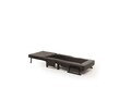 Canapea extensibilă cu 1 loc, Futon, 859FTN2346, Metal , Gri inchis