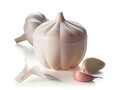 Recipient cu agatatoare pentru depozitat usturoi in frigider, Garlic, Excelsa, 7x8 cm