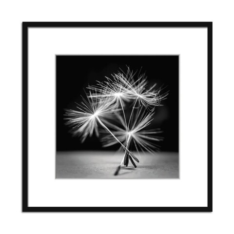 Tablou, styler, dandelion, 50 x 50 cm, mdf, multicolor