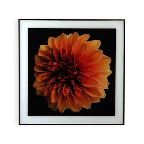 Tablou decorativ Gracelynn Flower, Versa, 40 x 60 cm, sticla