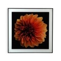 Tablou decorativ Gracelynn Flower, Versa, 40 x 60 cm, sticla