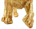 Figurina /sculptura decorativa Leopard Shant, Mauro Ferretti, 89x21x33 cm, polirasina, auriu