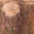 Ghiveci, Tree Trunk Gnome, Creaciones Meng, 27x27.5 cm, polirasina