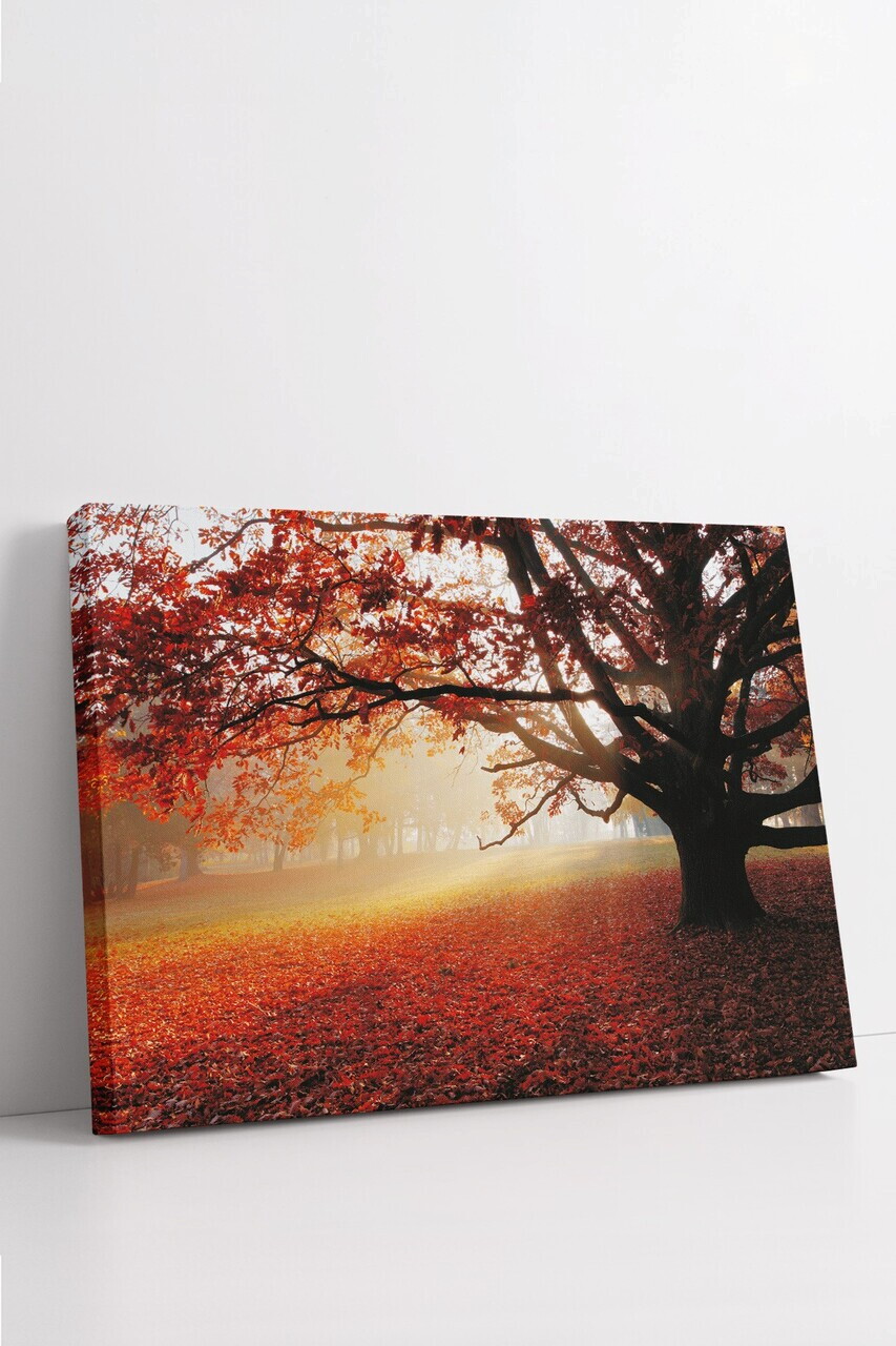 Tablou decorativ, Ersyfdc200, Canvas, Dimensiune: 40 x 60 cm, Multicolor — imaginea 3
