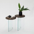 Set masute de cafea, Neostill, Serenity 2, Sticla temperata, Transparent/Nuc