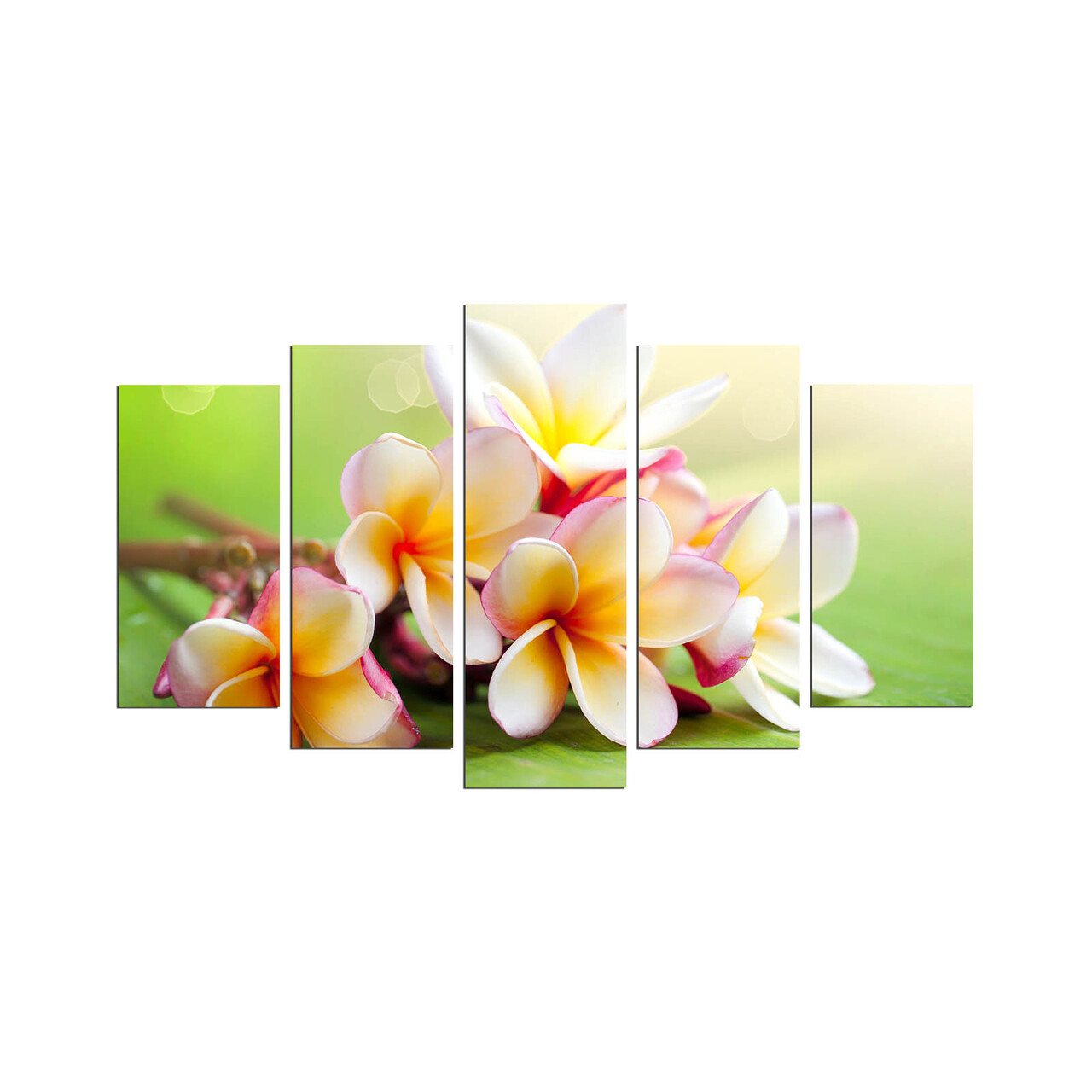 Set 5 tablouri decorative, 5PMDF-33, 20 x 60 cm, Multicolor - view 2