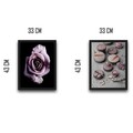 Set 2 tablouri decorative, Macrose Set, PAL, Hartie, Multicolor